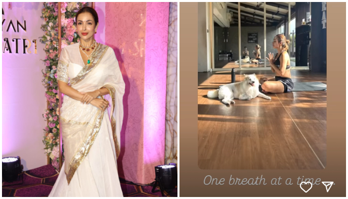 One breath at a time...', Malaika Arora shares photo of her doing Yoga with her pet dog ATG