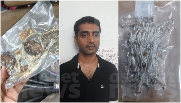 Youth arrested with magic mushroom in wayanad