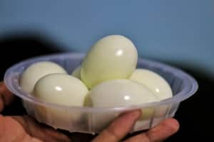 Daily eggs for 30 days: How THIS simple habit can transform your body