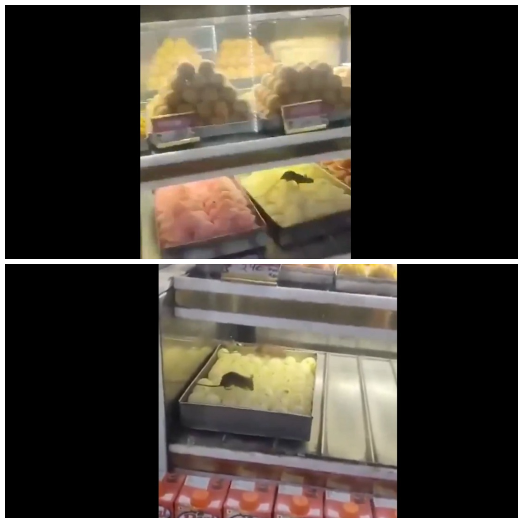 Rat runs over sweets kept at display counter in Delhi shop; viral video sparks health concerns (WATCH) shk