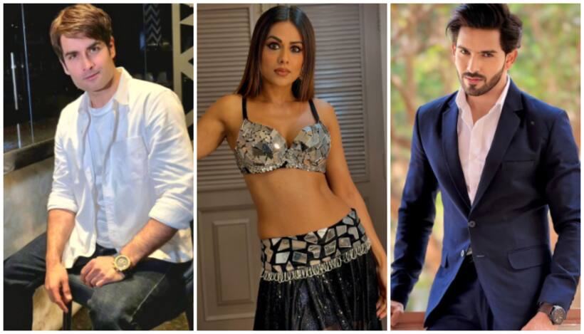 Bigg Boss 18: Check out premier date, time, and full contestants list of Salman Khan's superhit show