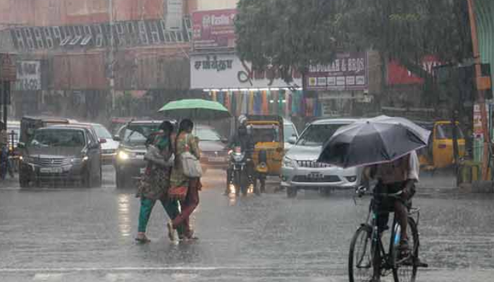 Kerala Rain Update: Heavy rain likely in state today october 11 2024; IMD issues orange alert in 2 districts anr