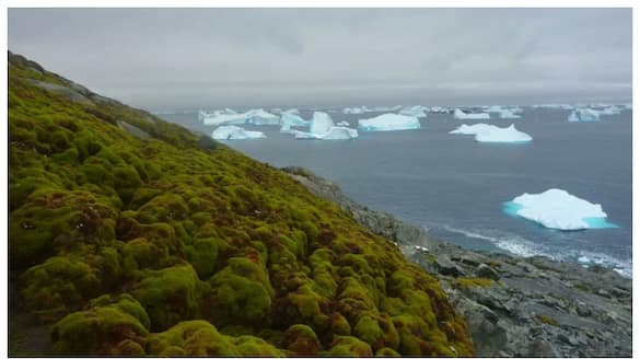 Climate Change & Youth Mental Health: Suicidal Trends Highlighted at COP 29 GVR