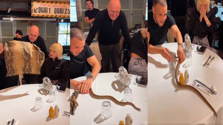 handkerchief snake