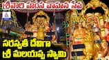 Tirumala Brahmostavams 2024 Hamsavahana Seva