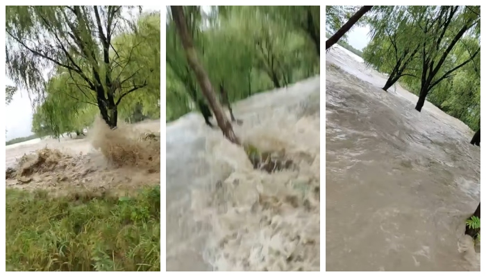 Video of water entering the shore and drowning has gone viral in social media  