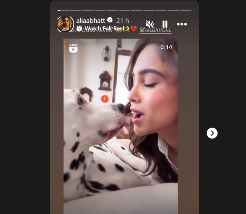 Sharvari Wagh supports Alia Bhatt's 'Jigra' in adorable video with her pet Miso - WATCH ATG