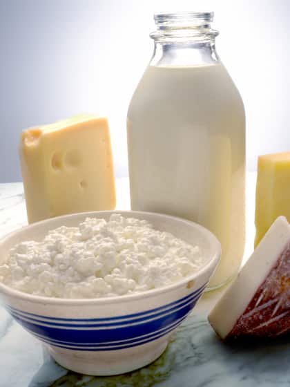 3. Dairy Products