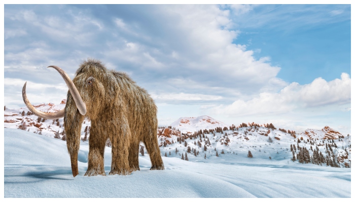 Woolly mammoths will be reincarnated on Earth by 2028: Colossal Bioscience CEO