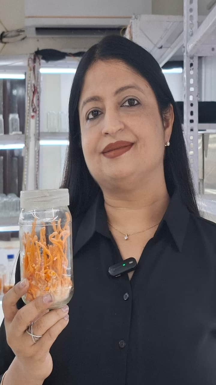 Fungi to fortune: Woman earns 30 lakhs a year growing cordyceps RTM