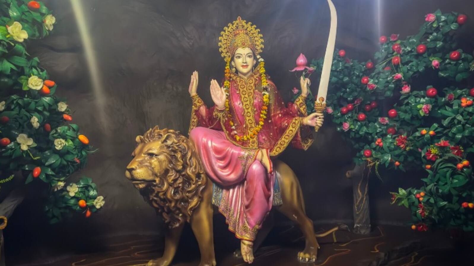 Devi Katyayani Puja 