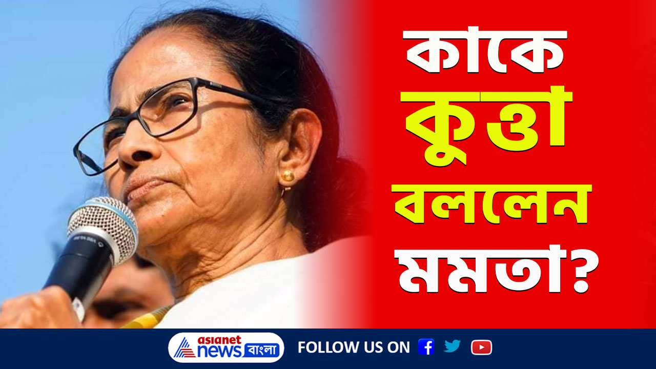 Mamata Banerjee : 'রাজা চলে বাজার, কুত্তা ভৌকে হাজার...' প্রতিবাদী না ভোটার, কাকে কুত্তা বললেন মমতা? দেখুন