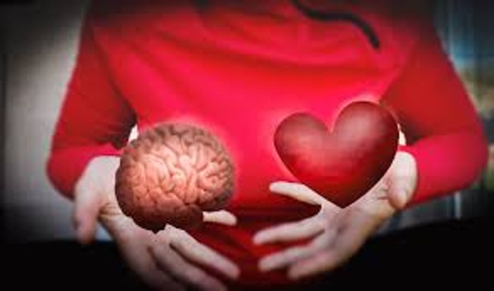 Do you know love lights up your brain differently depending on who you're thinking about, study reveals shk