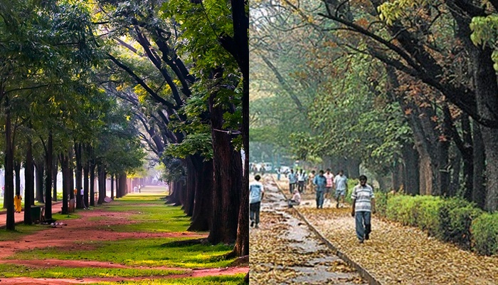 Cubbon park like eco space in North Bengaluru 153 acre Park In Yelahanka More details san