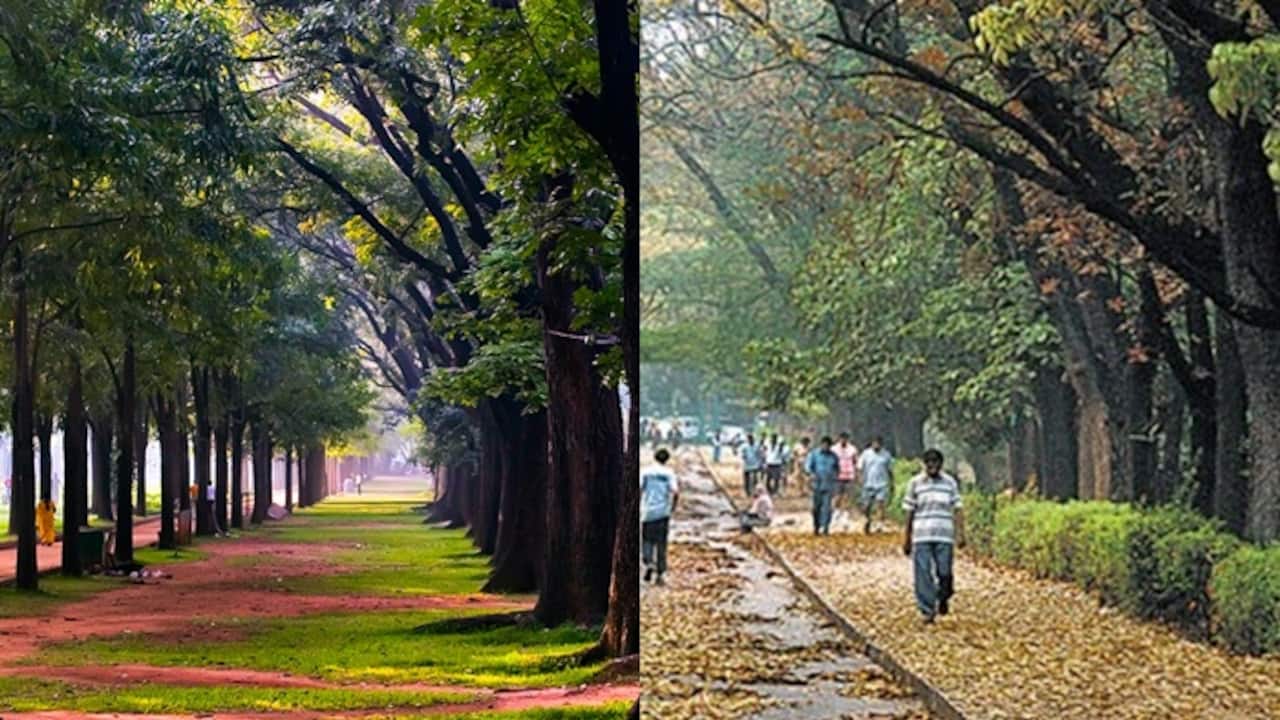 Cubbon park