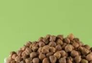 five health benefits black chana