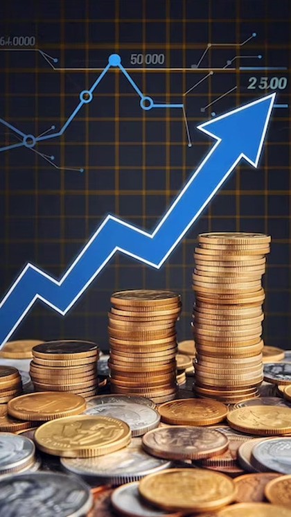 1- Hemo Organic Share Price