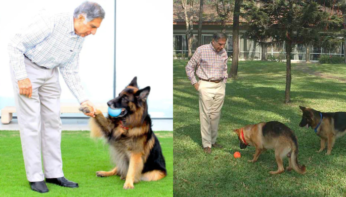 Ratan Tata's enduring love for Dogs: A symbol of his humanitarian spirit anr