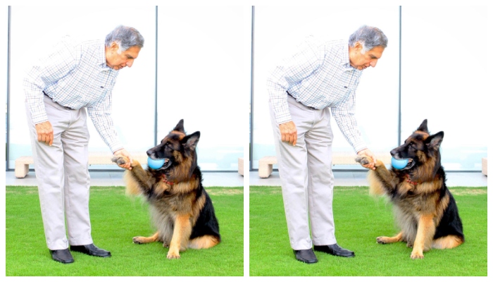 Ratan Tata who didnot even go to receive the award from Prince Charles at Buckingham Palace because of his love for dogs 