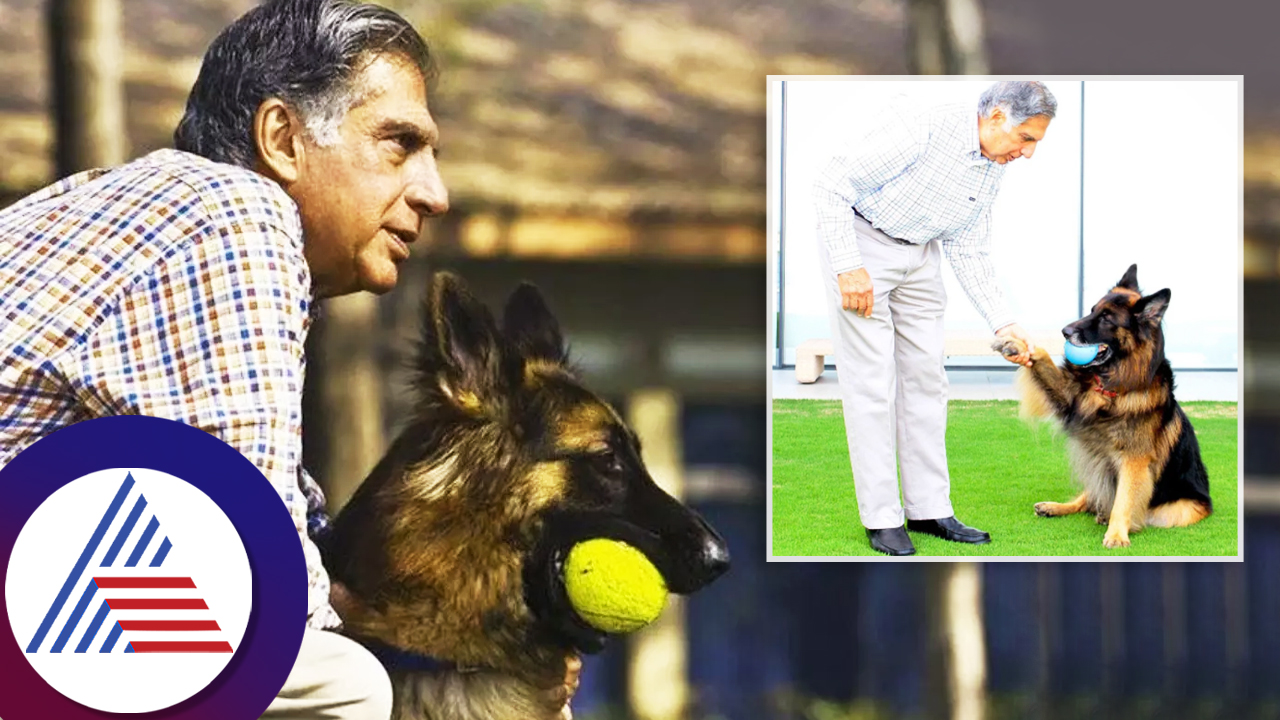 Ratan Tata decline to accept Lifetime achievement award from England king due to his dog ill health ckm