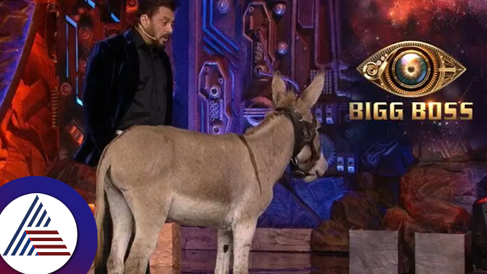 Bigg Boss 18 PETA calls use of donkey distressing asks Salman Khan to avoid using animals as props suc