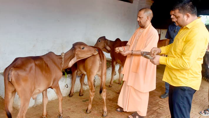 CM Yogi Adityanath offers prayers at Devipatan Temple in Balrampur, feeds cows AKP