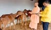 CM Yogi Adityanath offers prayers at Devipatan Temple in Balrampur, feeds cows AKP