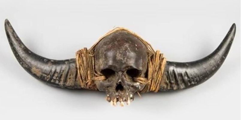 19th Century Naga Human Skull with Horn Removed from Sale by UK Auction Company after Out Rage