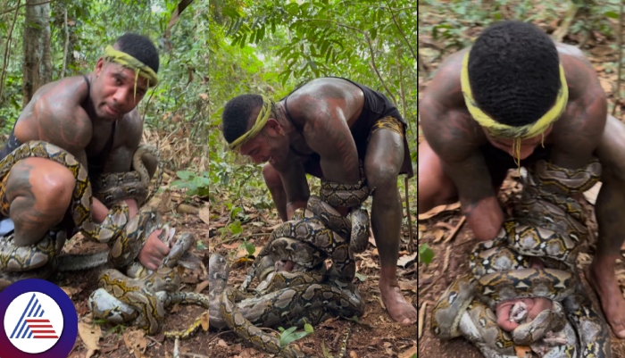 Four Pythons Attacked on who flirted the real tarzan in Forest sat