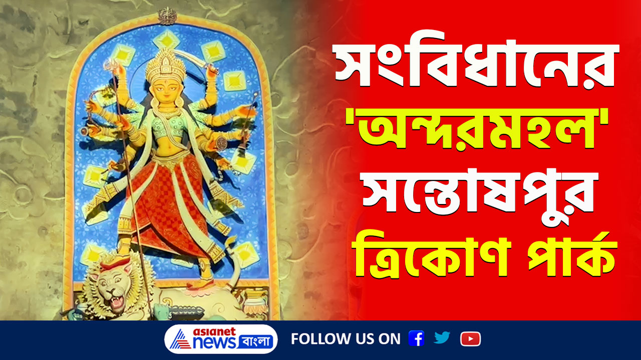 Durga Puja 2024 : গোটা সংবিধানের 'অন্দরমহল' দেখে আসুন সন্তোষপুর ত্রিকোণ পার্কের পুজো