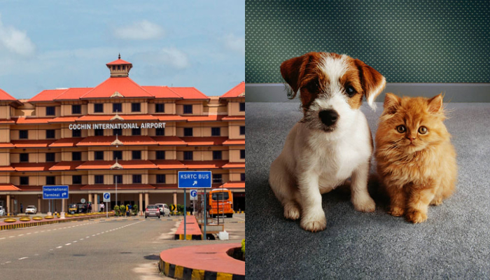 Kerala: Travellers can now bring pets via Cochin Airport; aims to facilitate 'Ease of Living' for pet lovers anr