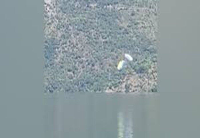 Video captures dramatic rescue of paraglider by SDRF after he falls into Uttarakhand's Tehri Lake (WATCH)