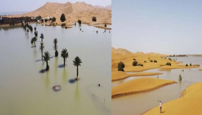 sahara flooded after heavy rain in 50 years 