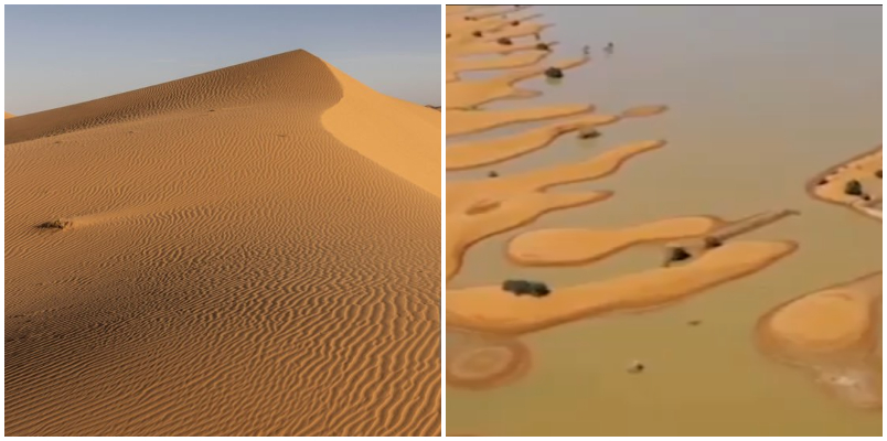 Floods in the Sahara Desert first such incident in half a century