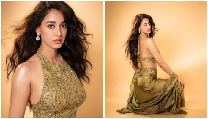 Disha Patani looks ELEGANT as she shares pictures in ethnic outfit RTM