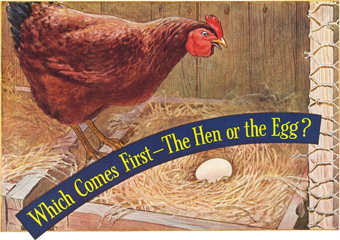 Which came first, the chicken or the egg? Scientists FINALLY settle the debate. But there's a TWIST! shk