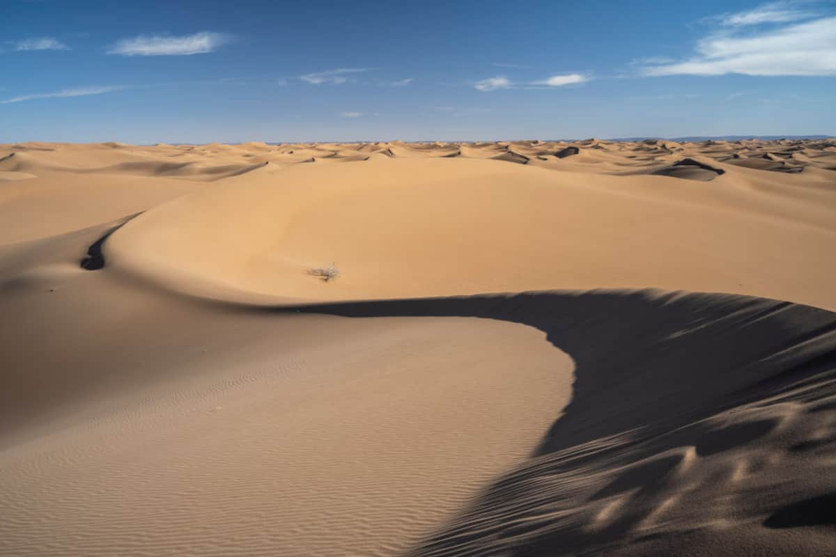 Sahara Desert flooded for 1st time in 50 years after rare rainfall- Asianet  Newsable