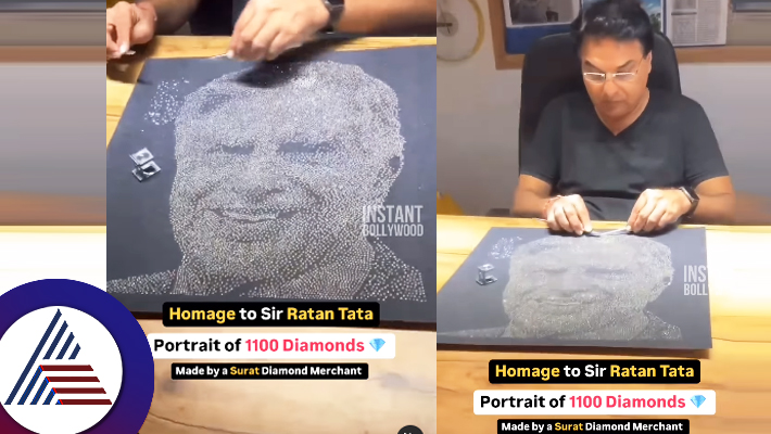 A Portrait made of 11000 Diamonds for  Ratan Tata from Surath Businessman suc