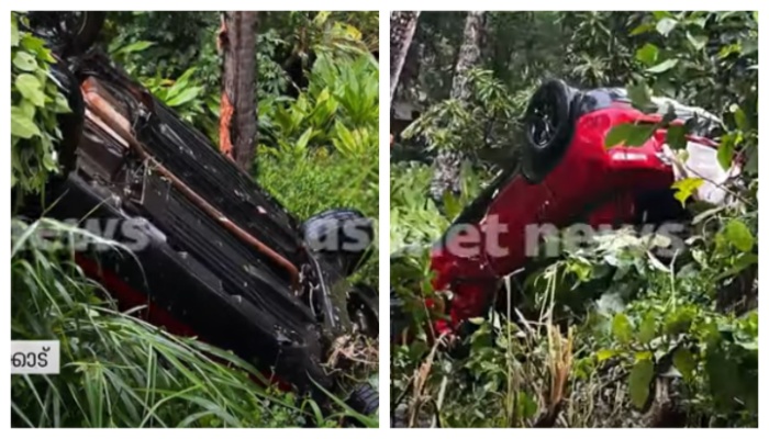 car accident Kozhikode dog that jumped across  