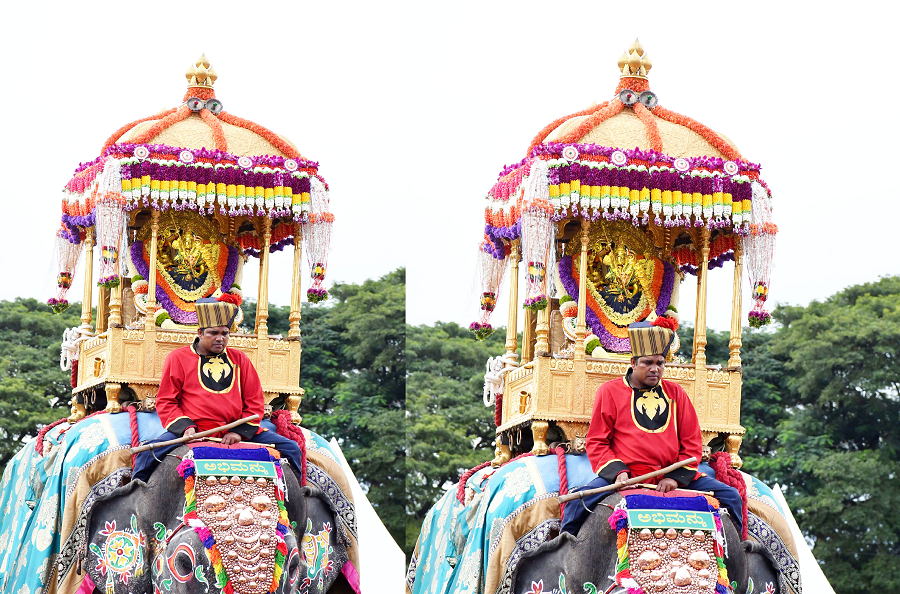 A forest guard tied an ambari on an elephant with the help of a crane gvd