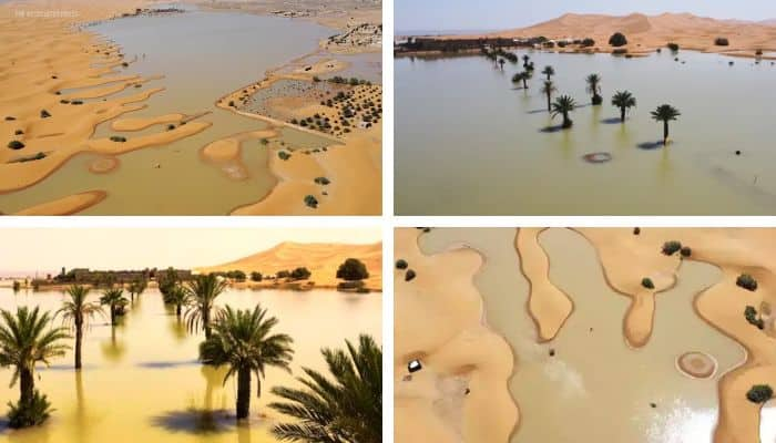 Sahara desert Witnesses First Floods update what will effect on nature mrq