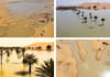 Sahara desert Witnesses First Floods update what will effect on nature mrq