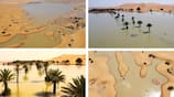 Sahara desert Witnesses First Floods update what will effect on nature mrq