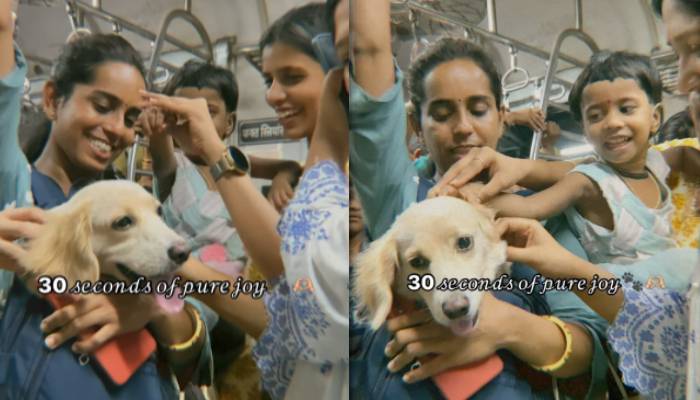 pet dog traveling in mumbai local train viral video 