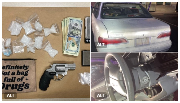 gun and drugs were seized from a bag inside a car found suspicious