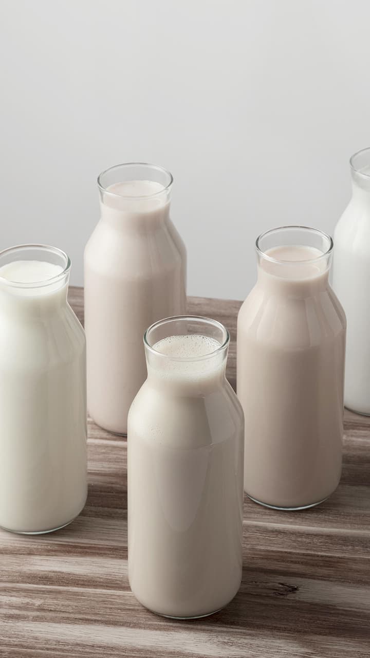 Does drinking milk make you gain weight