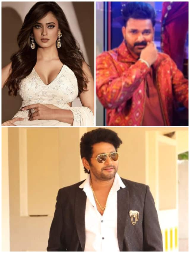 Shweta Tiwari to Pawan Singh: 5 Bhojpuri Stars who tied the knot twice NTI