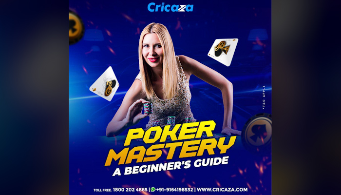 Poker Mastery: A Beginner's Guide