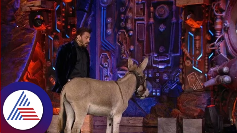 Bigg Boss 18 donkey removed from show after peta urges rav