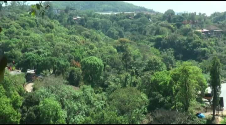 c and d lands which order to transfer forest dept, kodagu farmers outraged rav